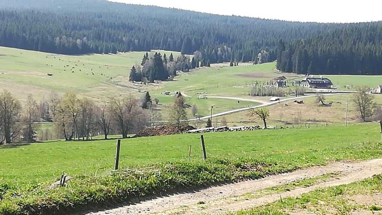 Pivonka *